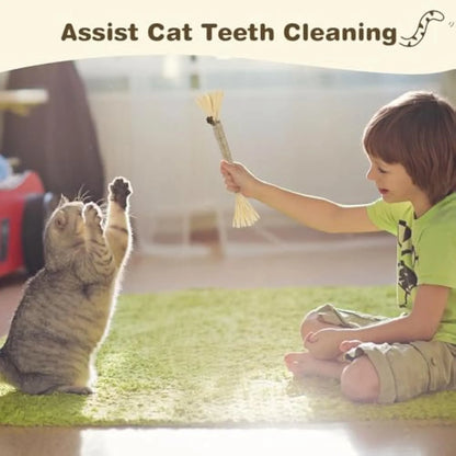 Natural silvervine chew sticks for cats with sisal rope for dental care, showing thick and fine diameter options