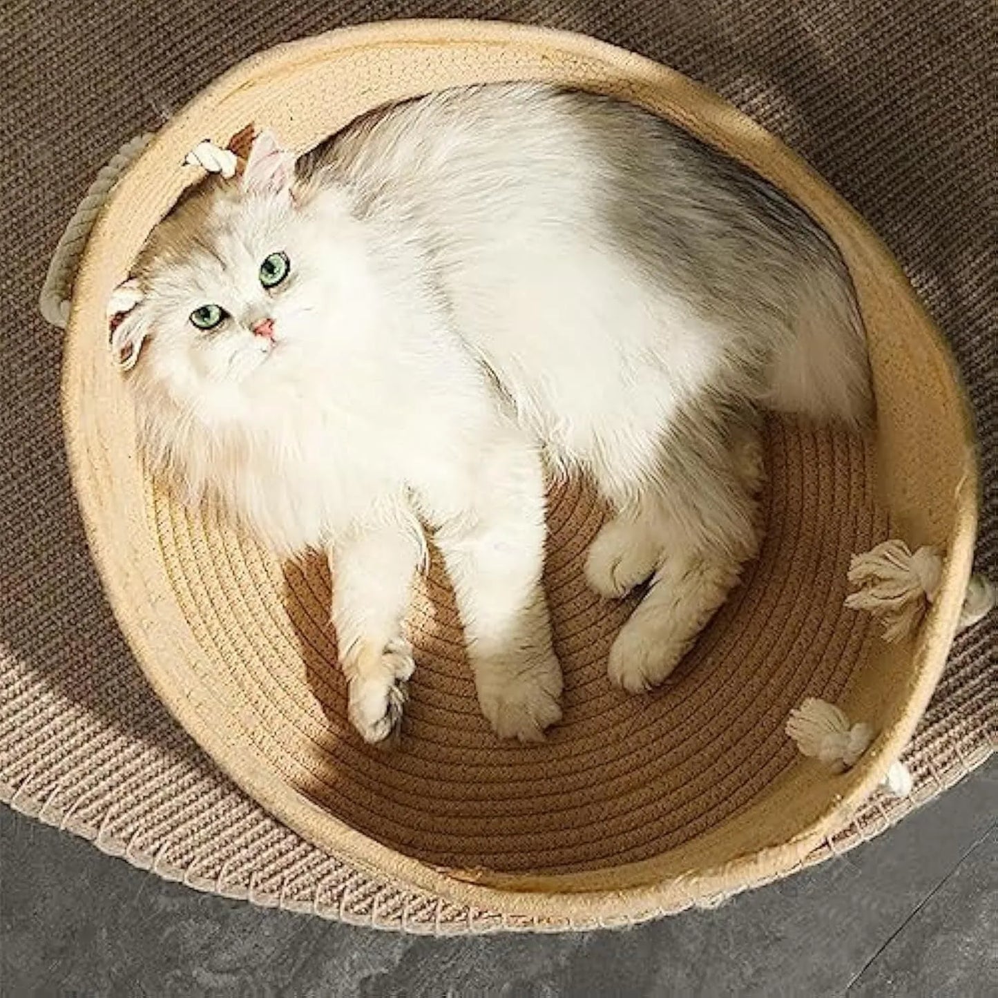 Wicker cat bed basket with integrated corrugated cardboard scratching panel, shown in a home setting.