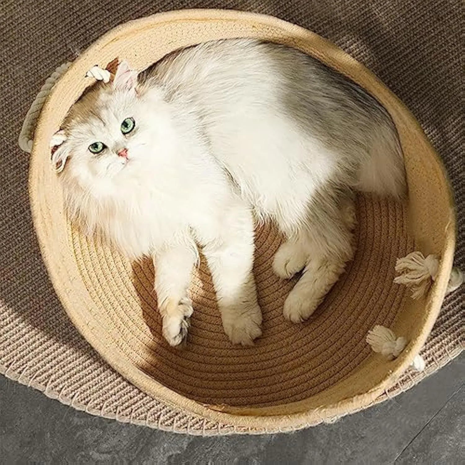 Wicker cat bed basket with integrated corrugated cardboard scratching panel, shown in a home setting.