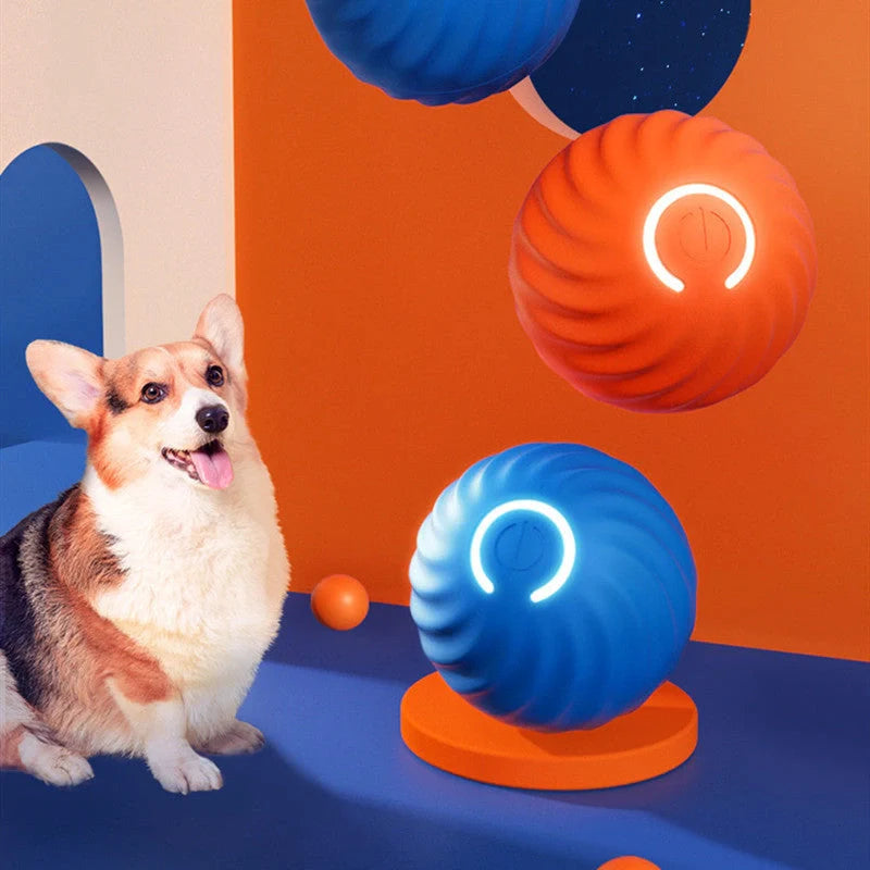 Durable rubber dog ball toys in bright colours for bite resistance and training