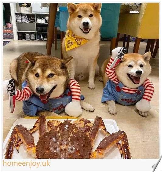 Adorable pet dog and cat wearing soft, plush Halloween costumes in various sizes