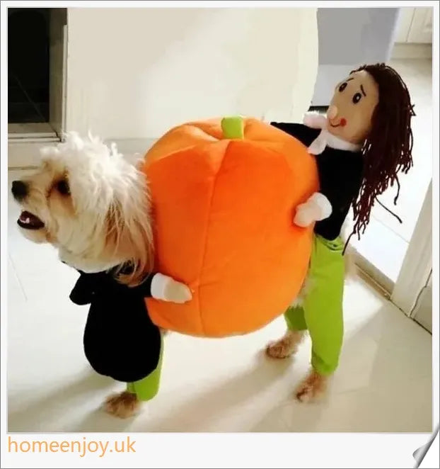 Adorable pet dog and cat wearing soft, plush Halloween costumes in various sizes