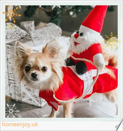 Adorable pet dog and cat wearing soft, plush Halloween costumes in various sizes