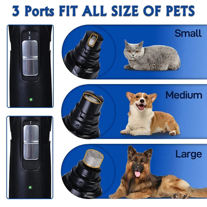 Powerful LED Pet Nail Grinder with bright illumination and adjustable settings for stress-free grooming of dogs of all breeds.