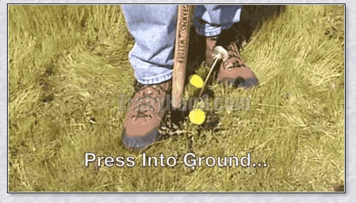 Standing Weeding Puller: Innovative tool for easy weed removal in British gardens