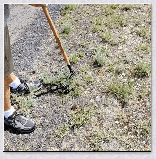 Standing Weeding Puller: Innovative tool for easy weed removal in British gardens