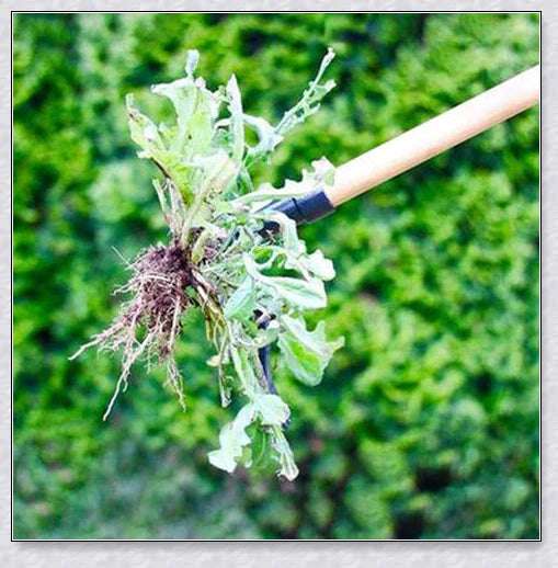 Standing Weeding Puller: Innovative tool for easy weed removal in British gardens