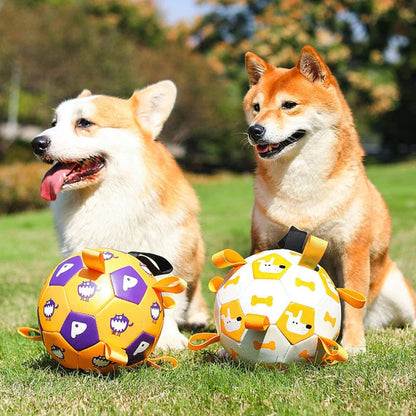 A durable, leather dog toy in the shape of a football with easy-to-grip tabs for interactive play and training.