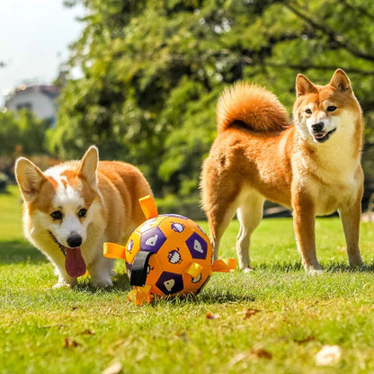 A durable, leather dog toy in the shape of a football with easy-to-grip tabs for interactive play and training.