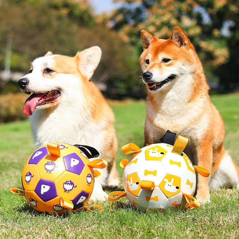 A durable, leather dog toy in the shape of a football with easy-to-grip tabs for interactive play and training.