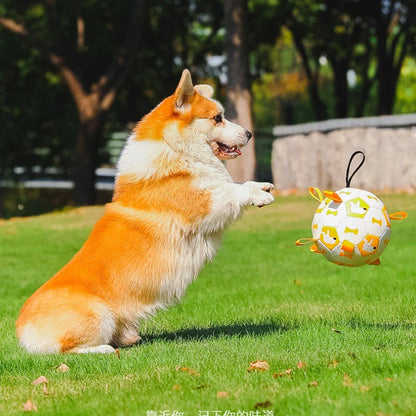 A durable, leather dog toy in the shape of a football with easy-to-grip tabs for interactive play and training.
