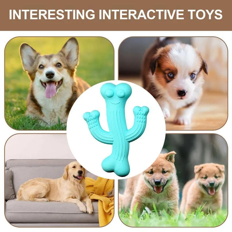 Beige, blue or purple cactus-shaped dog chew toy made from bamboo fibre and rubber on a white background.