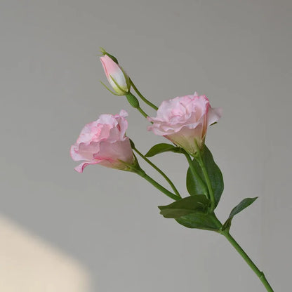 Silk artificial eustoma flower set with three blooms in five colour options for wedding and home decoration