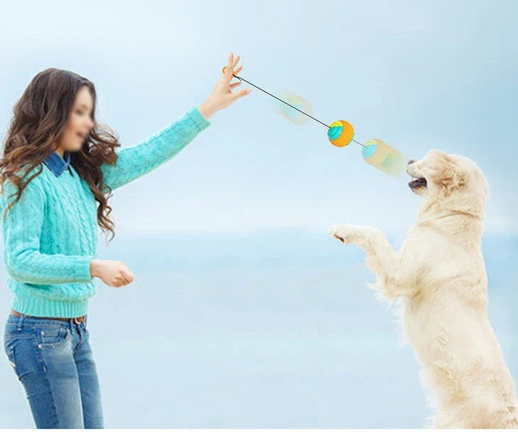 Interactive dog toy with retractable throwing ball, textured dental chew surface, and durable ABS construction