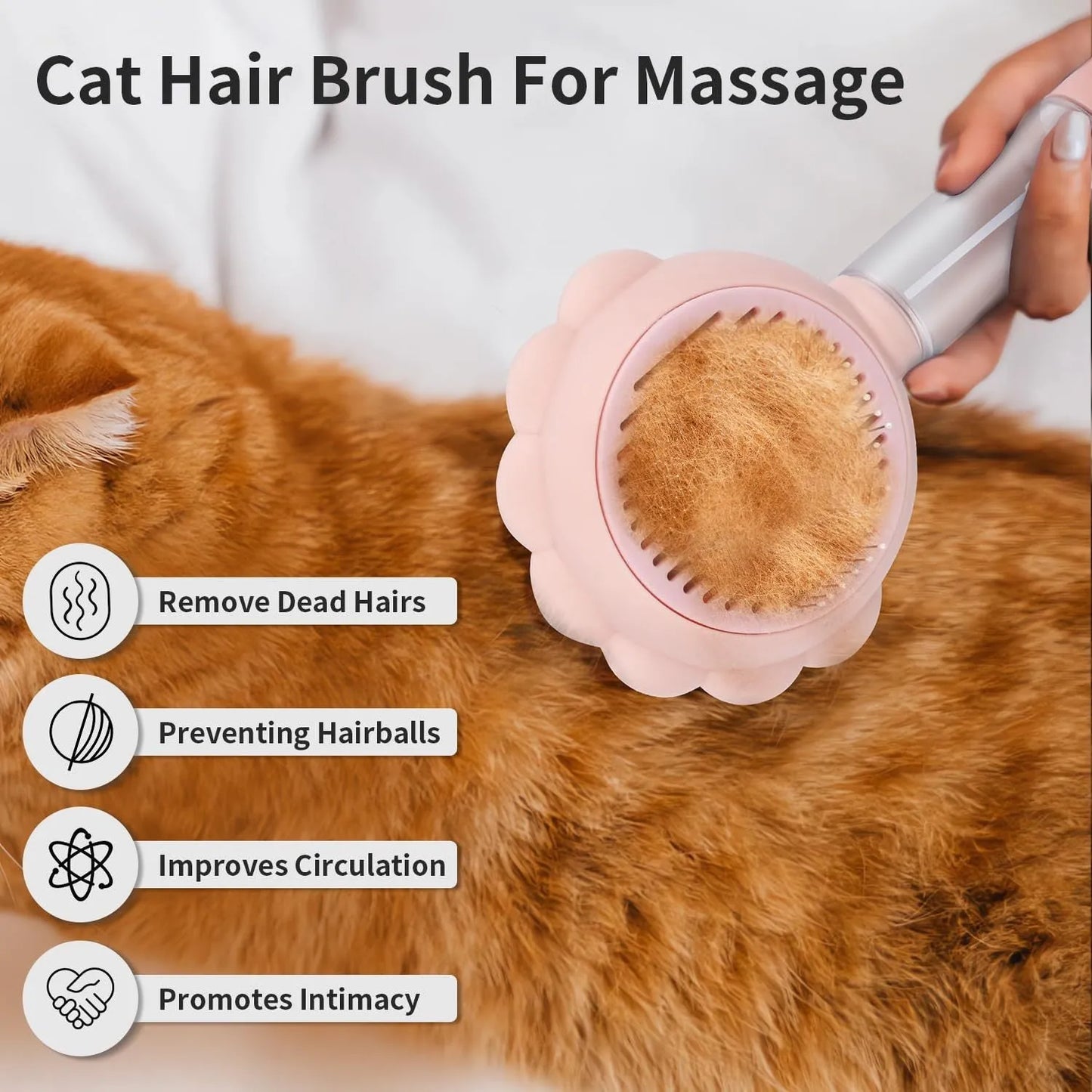 Spray cat brush with grey handle, stainless steel pins, and water spray function for grooming pets