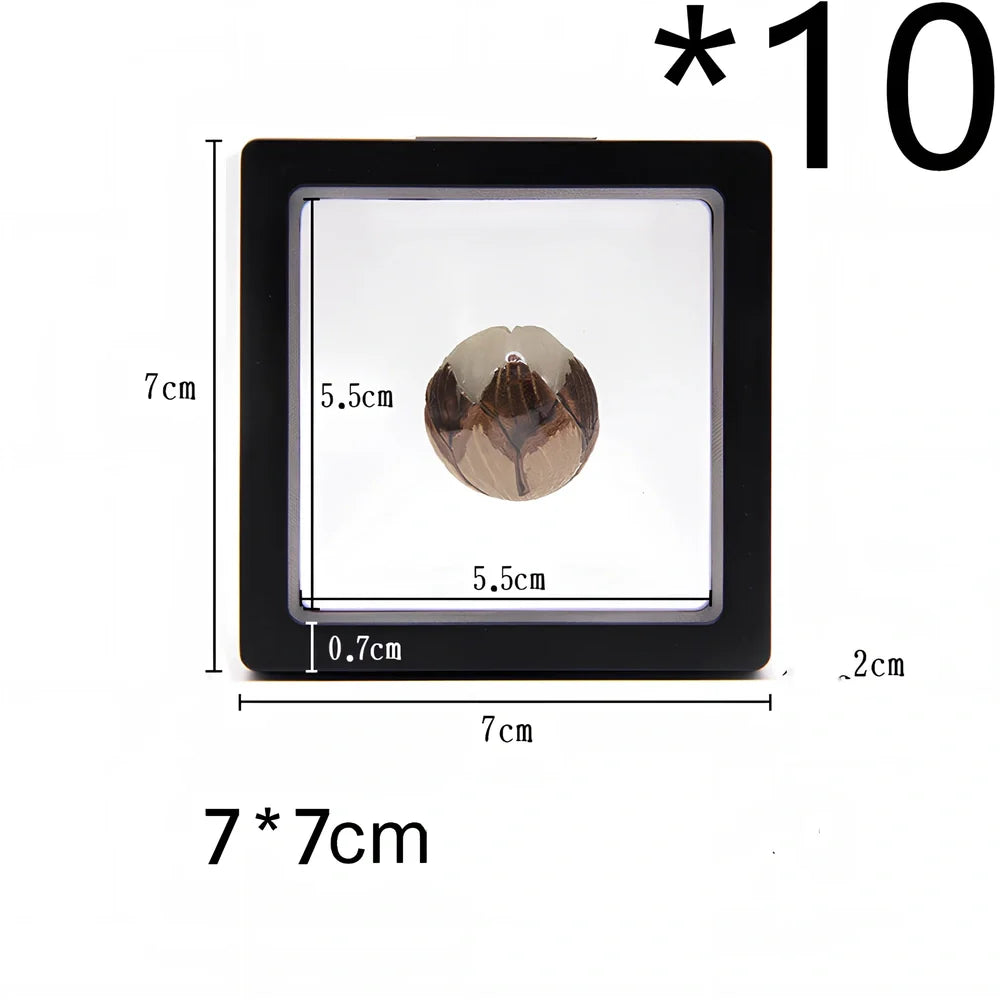 Black 11x11cm suspended 3D floating display frame holding a coin, with square base for stable collectible showcase