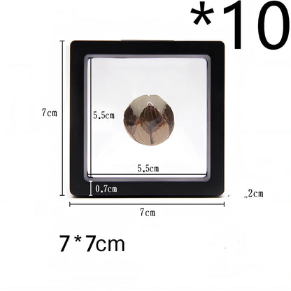 Black 11x11cm suspended 3D floating display frame holding a coin, with square base for stable collectible showcase