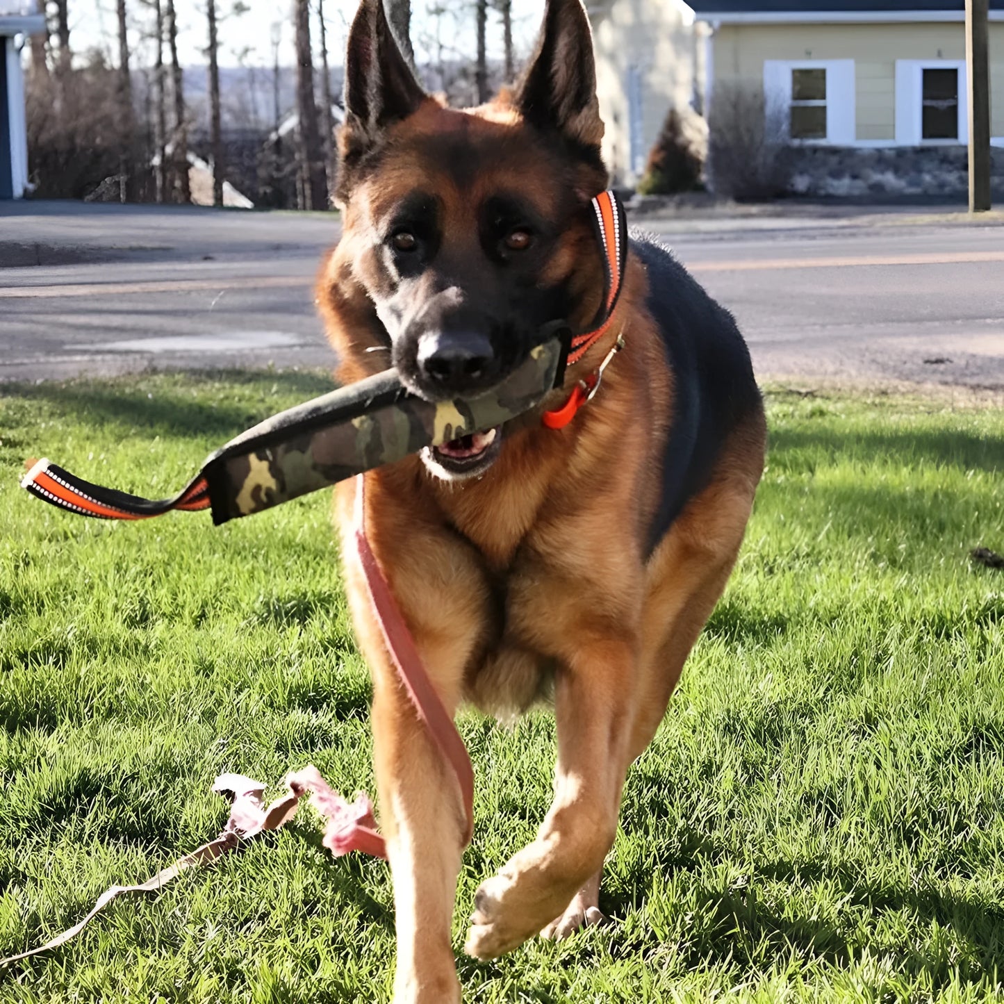 Jute dog training bite stick with reflective yellow edge trim, 55cm length