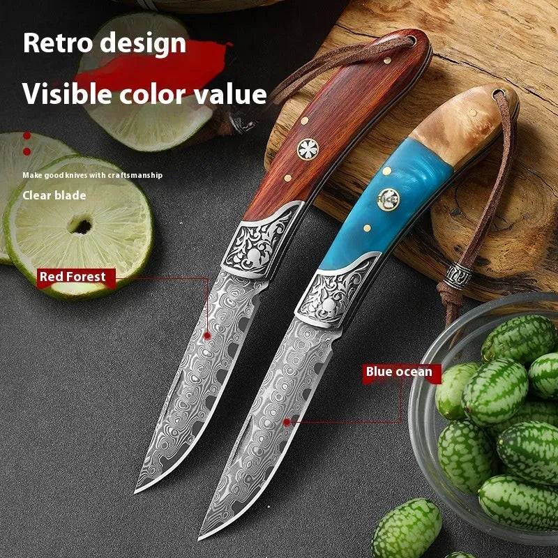 Folding portable outdoor knife with VG10 stainless steel blade, national style handmade craft for camping hiking bushcraft, available in Blue Ocean or Red Forest dovetail colour options