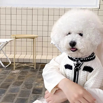 White Korean style dog sweater with pearl collar on small dog, princess cut polyester pet clothing