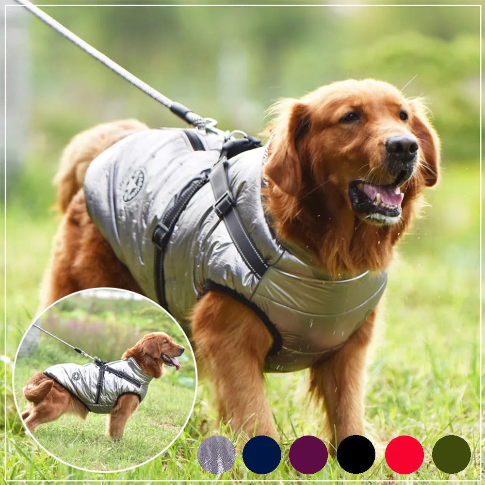 Red waterproof dog coat with built-in harness on a large dog, showing warm lining and sizing for winter.