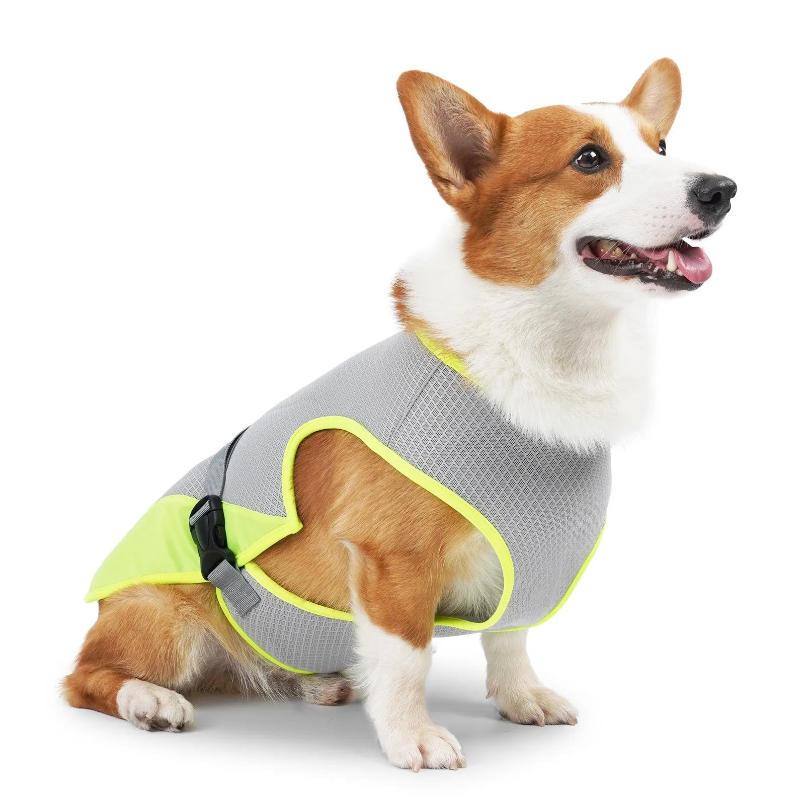Lightweight polyester mesh dog cooling vest for summer heatstroke prevention on a dog