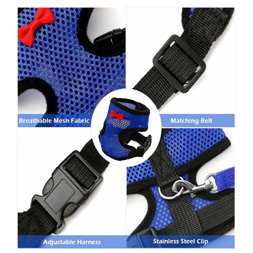 Poultry vest harness with matching collar and bow decoration for chickens and ducks