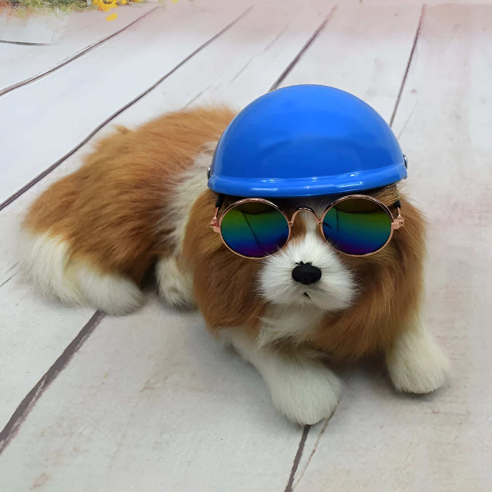 Plastic dog motorcycle cap helmet in Japanese style on a small dog