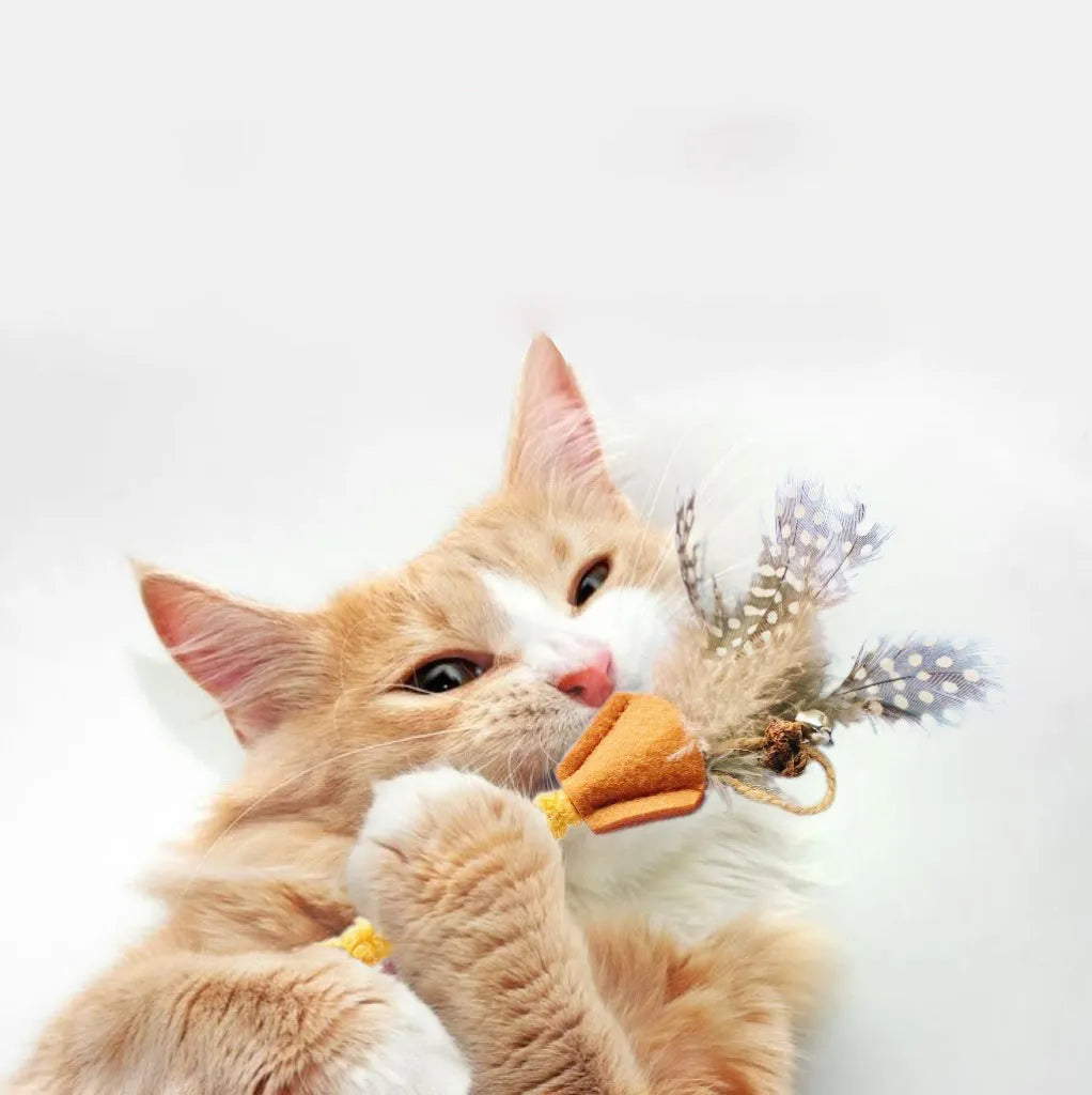 Polygonum wood cat feather chew toy with green and yellow feathers for dental care and interactive play