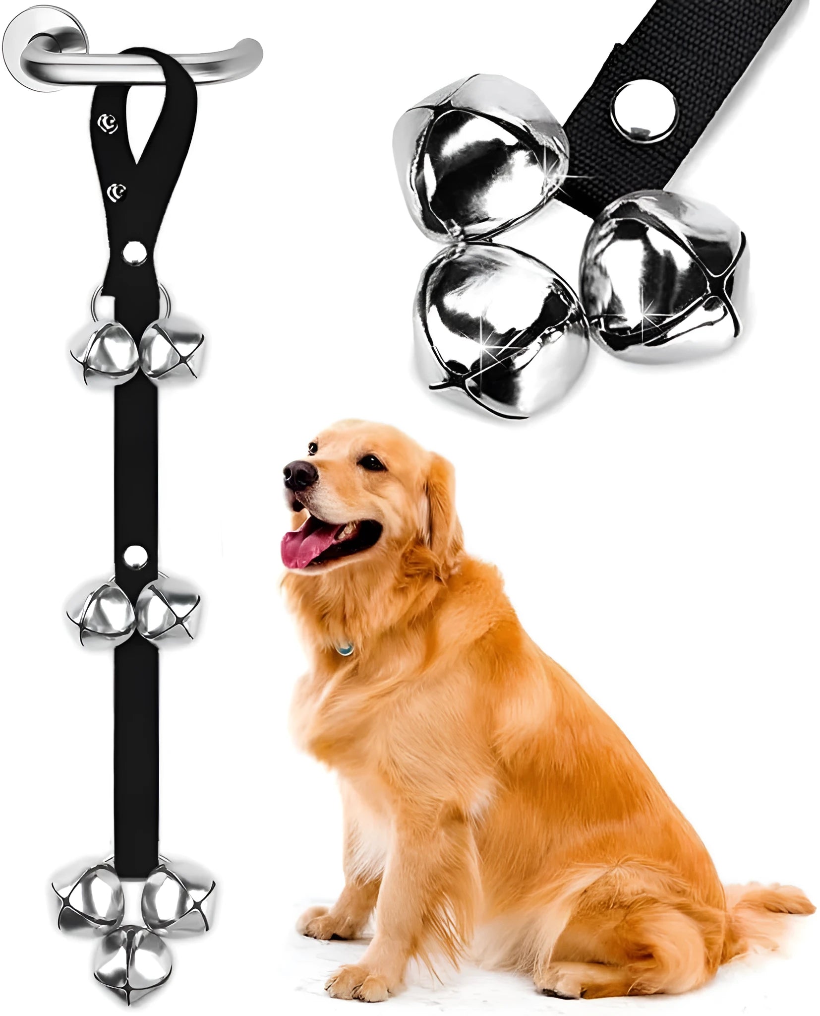 Adjustable-length dog training doorbell with large silver metal bells on a heavy-duty nylon leash
