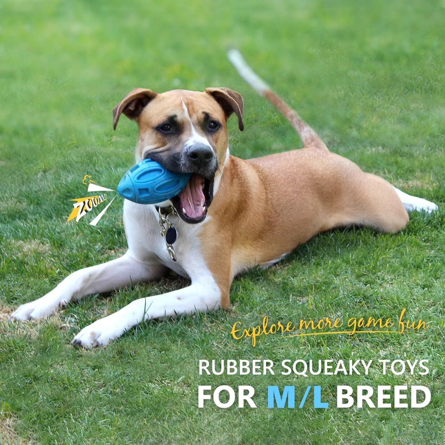 Blue green orange squeaky rubber chew ball dog toy for aggressive chewers