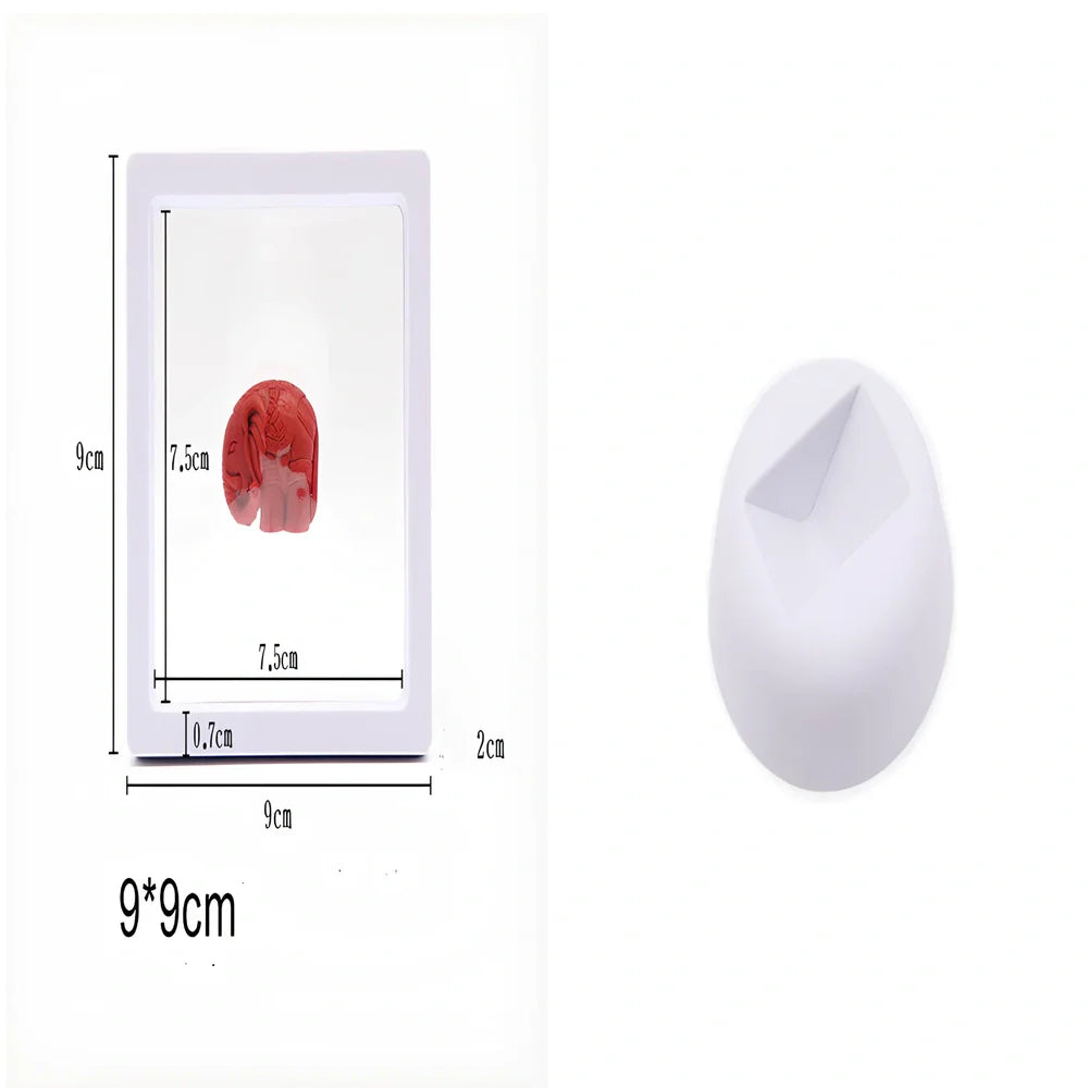 Black 11x11cm suspended 3D floating display frame holding a coin, with square base for stable collectible showcase