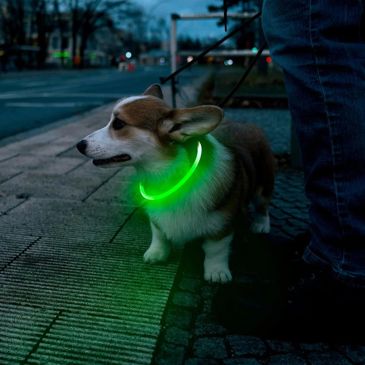 Blue USB rechargeable LED dog collar with glow lights, adjustable 70cm length for pet safety.