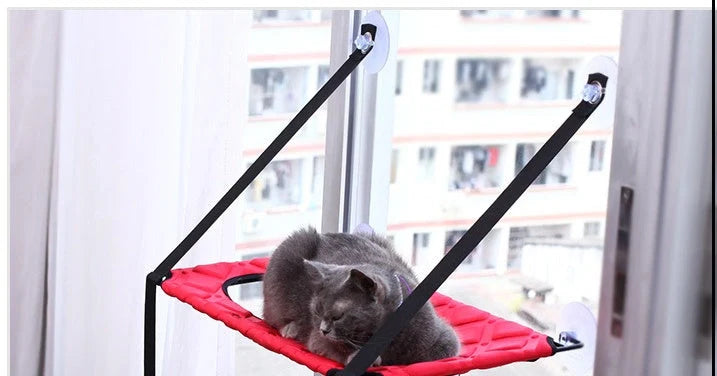Cat Hammock Window Resting Seat Perch for indoor cats, durable and space-saving