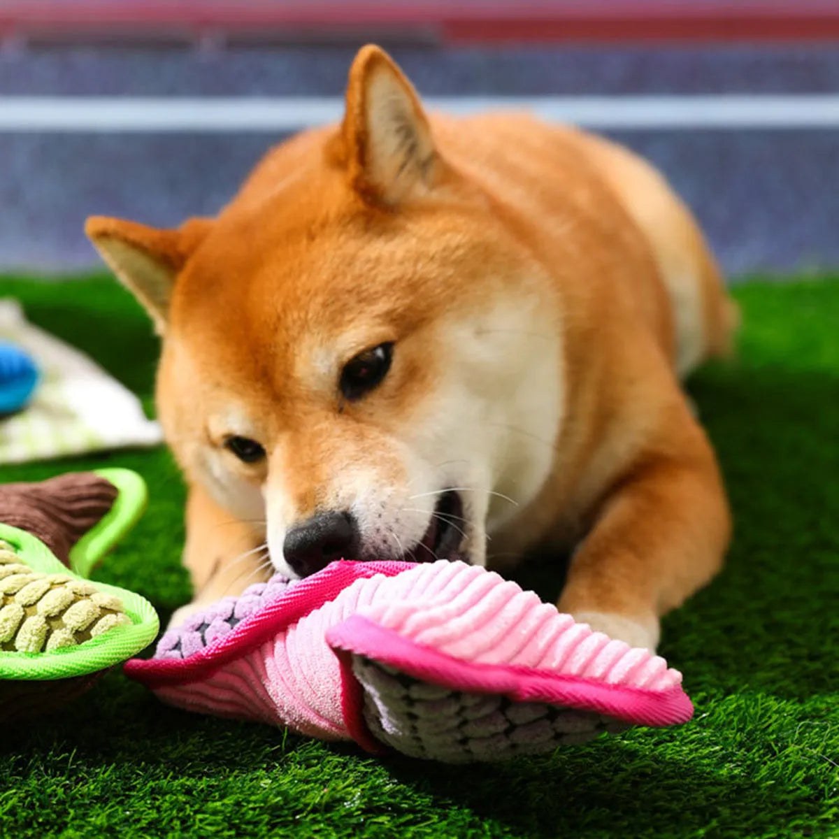 Blue plush teddy dog toy attached to a bone shape with corn fleece lining for bite-resistant chewing.