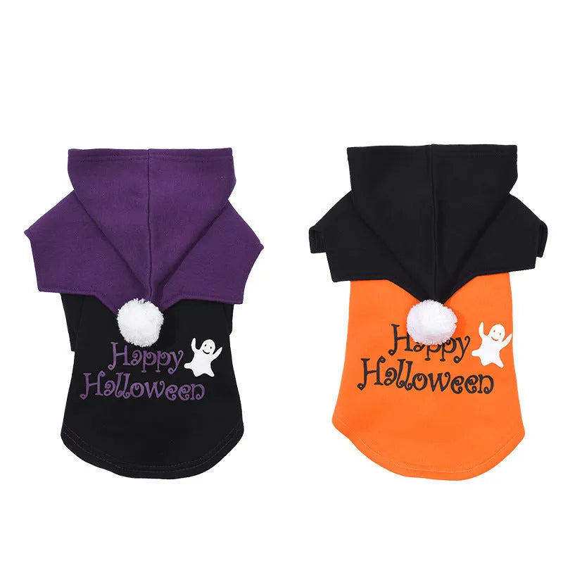 Black and orange Halloween dog costume with sweater and shawl pieces