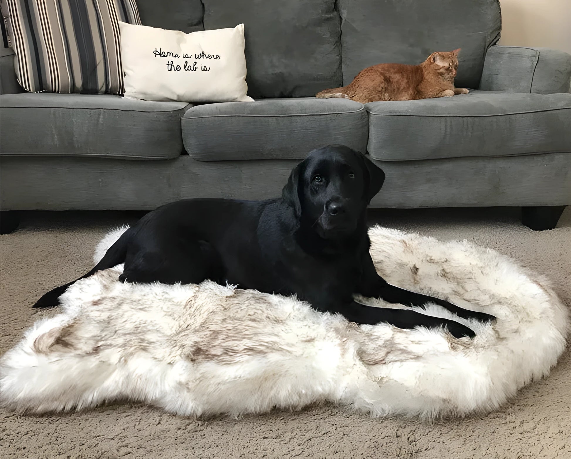 Beige plush dog mat cushion bed for large dogs, showing soft fabric texture and raised height.