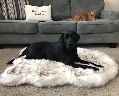 Beige plush dog mat cushion bed for large dogs, showing soft fabric texture and raised height.