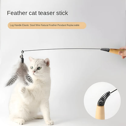 Wooden handle cat teasing stick with spring and four feather bell replacement heads in different colours