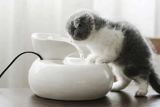 Ceramic automatic cat water dispenser with leaf design in white or pink, porcelain pet fountain with EU or US plug