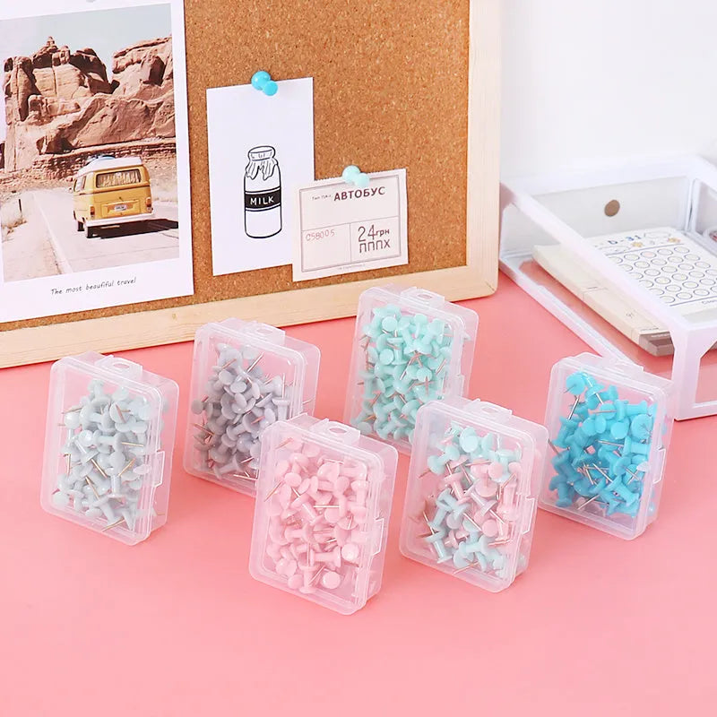50-piece Creative Morandi colour push pin set with green, grey, pink, and mixed options