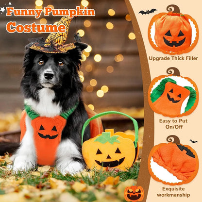 Orange plush pumpkin costume on small dog with pullover design and soft lining