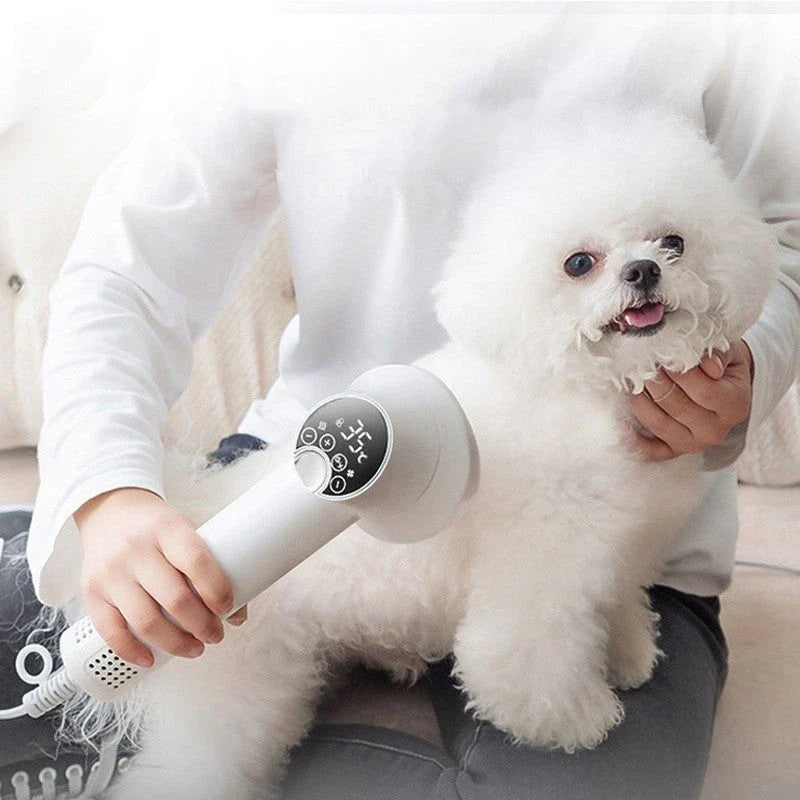 Premium Pet Hair Dryer with powerful 300W motor, whisper-quiet operation, and dual-speed settings for gentle, stress-free grooming of dogs, cats, and other pets.