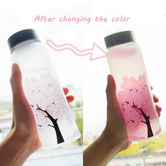Colour changing glass water glass with high borosilicate body and food-grade lid