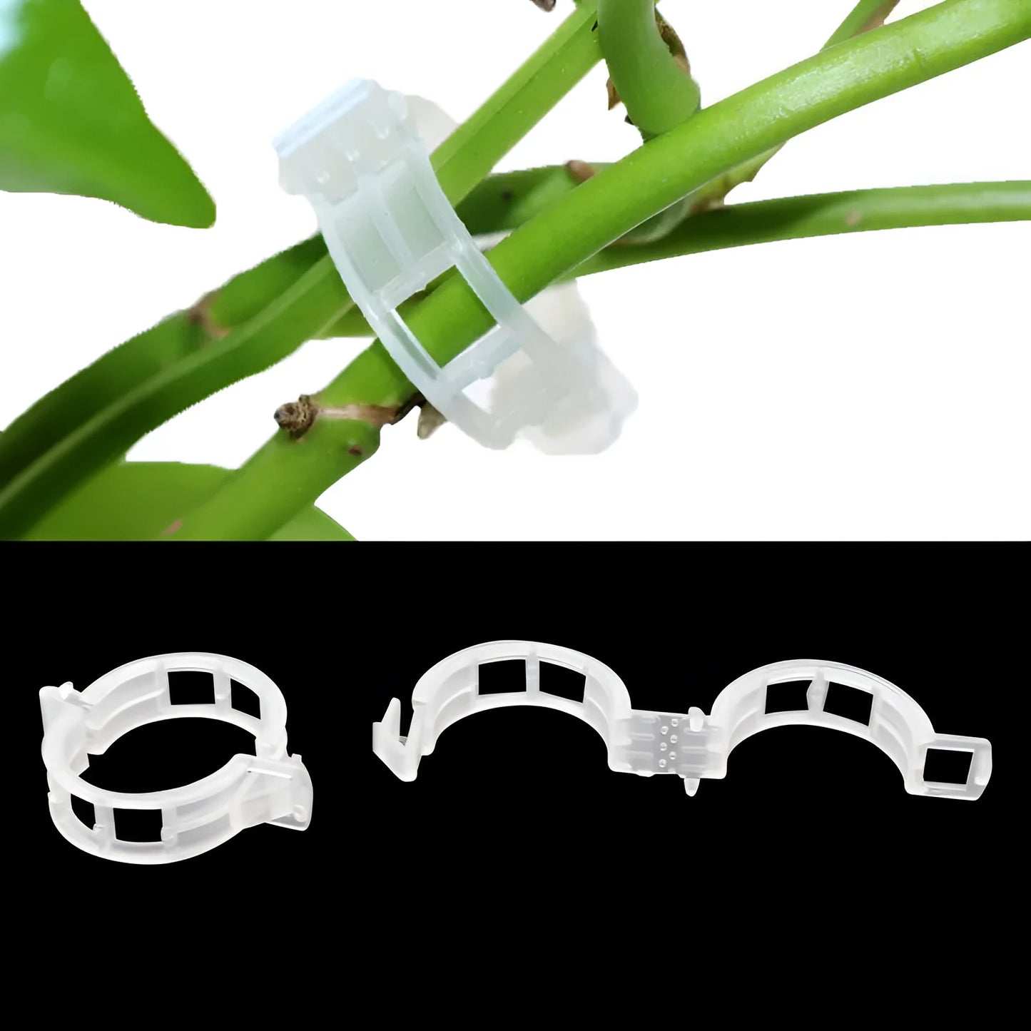 Set of 50 plastic plant grafting clips for tomato flower and garden twig support