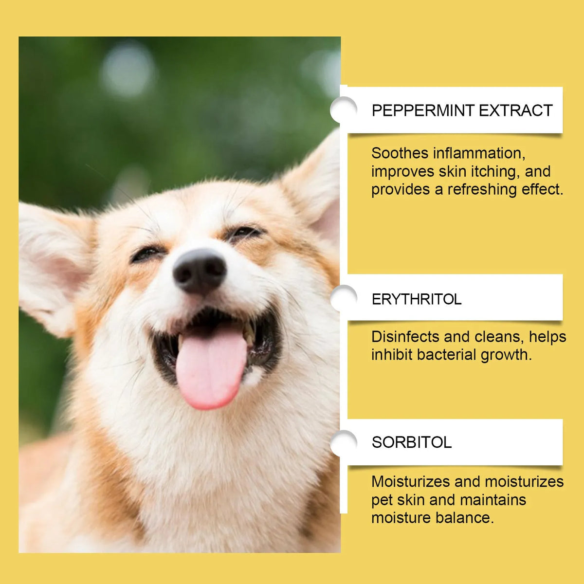 60ml herbal yeast supplement bottle for dogs, external skin care liquid product.