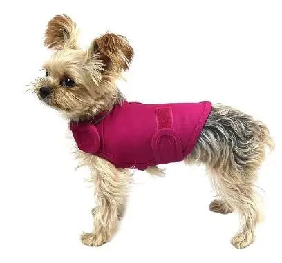 Dog wearing brown anxiety compression vest tank top for separation anxiety relief