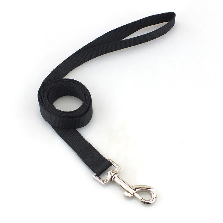 Solid colour polyester dog leash rope in hand, showing various width and colour options.