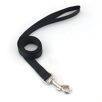 Solid colour polyester dog leash rope in hand, showing various width and colour options.