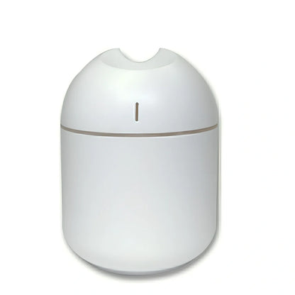 White USB aromatherapy humidifier with 1L tank and single mist outlet for 21-30 sq m rooms